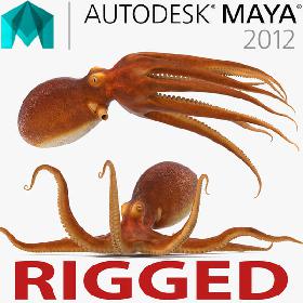 Common Octopus Rigged for Maya